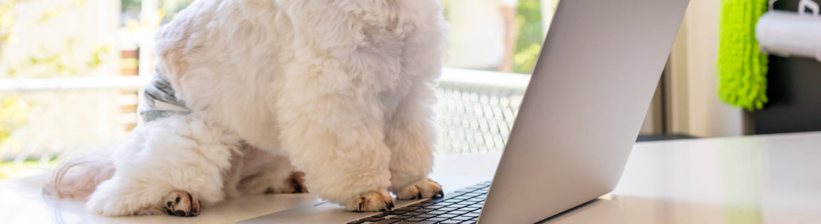 メーカーで探す